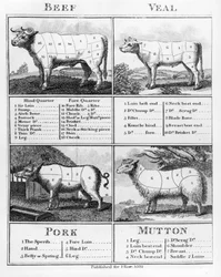 Rind-, Kalb-, Schweine- und Hammelfleischstücke, 1802